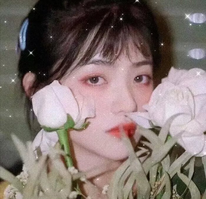 我不是精英